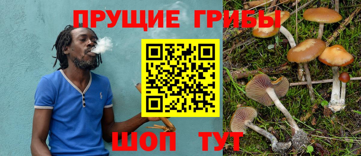 наркошоп  Вход с VPN  Сыктывкар  Галлюциногенные грибы Psilocybe 