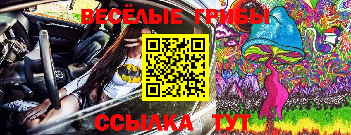Галлюциногенные грибы GOLDEN TEACHER Сыктывкар